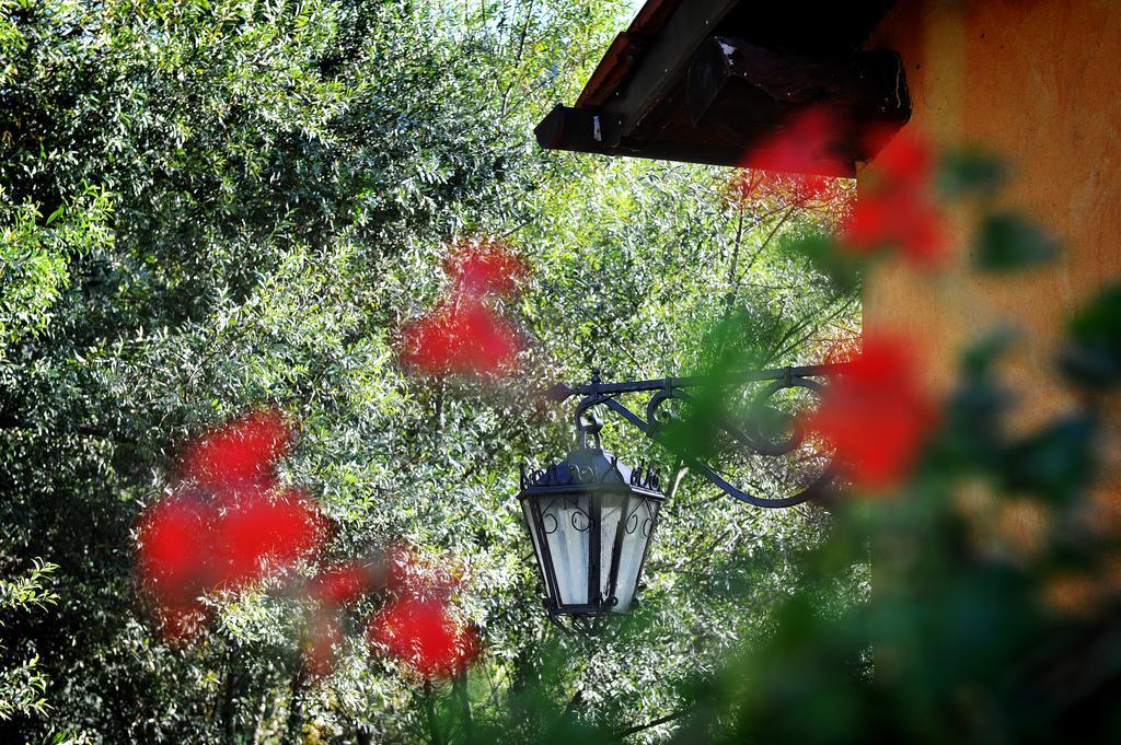 L'Antica Mola Βίλα Castel Madama Δωμάτιο φωτογραφία