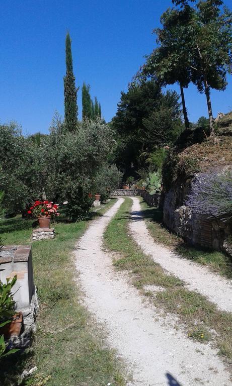 L'Antica Mola Βίλα Castel Madama Δωμάτιο φωτογραφία