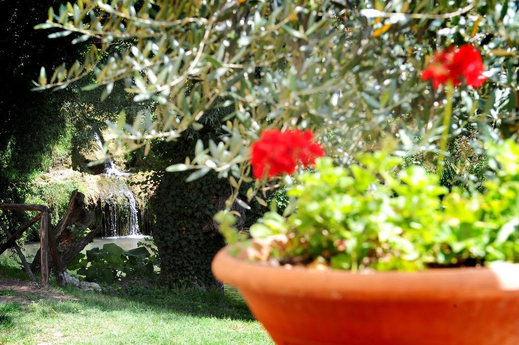 L'Antica Mola Βίλα Castel Madama Δωμάτιο φωτογραφία