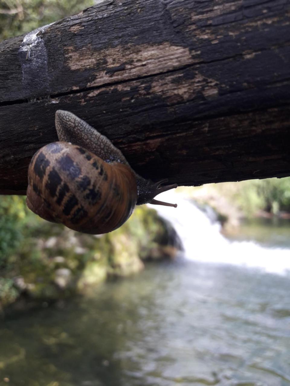L'Antica Mola Βίλα Castel Madama Εξωτερικό φωτογραφία